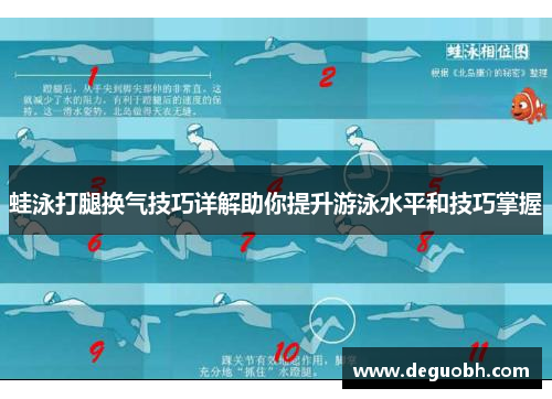 蛙泳打腿换气技巧详解助你提升游泳水平和技巧掌握
